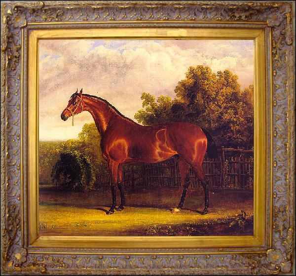 framed  Herring, John F. Sr. Negotiator the Bay Horse in a Landscape, Ta145